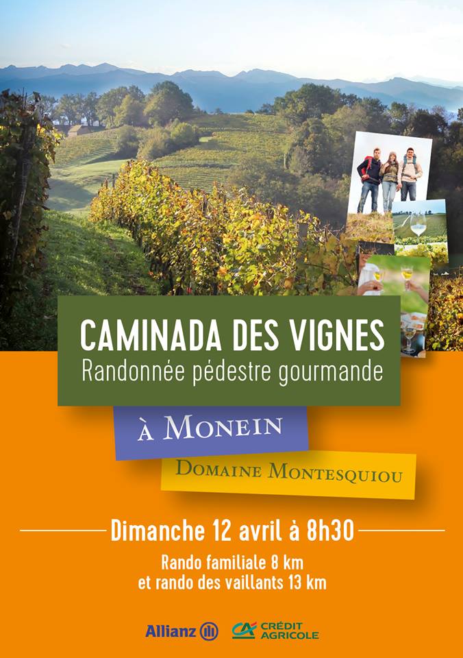 Caminade des vignes - Domaine Montesquiou- Monein