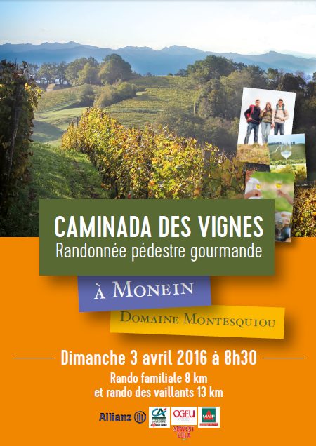 caminada des vignes  Domaine montesquiou monein