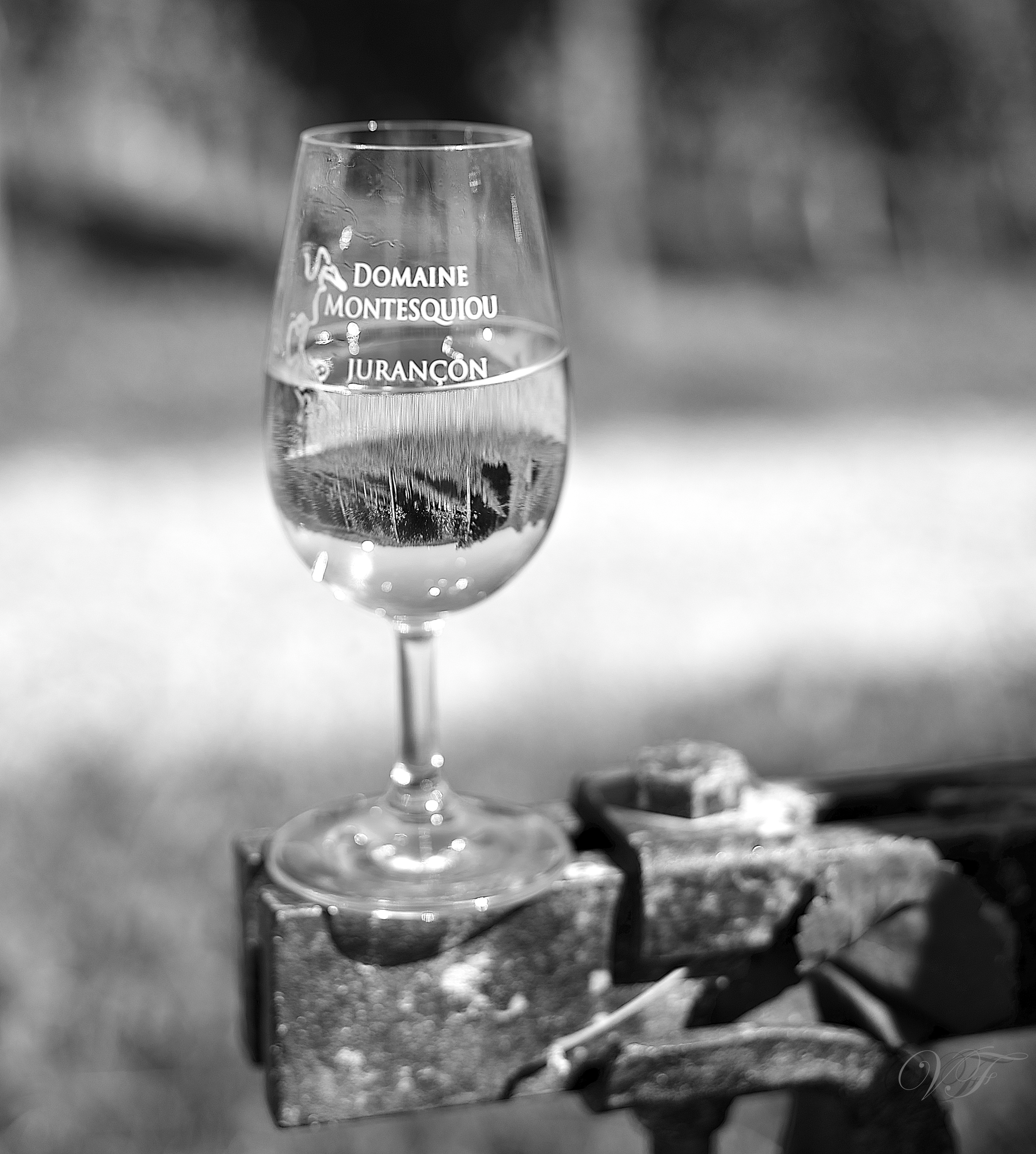 Domaine Montesquiou - verre Jurancon - monein