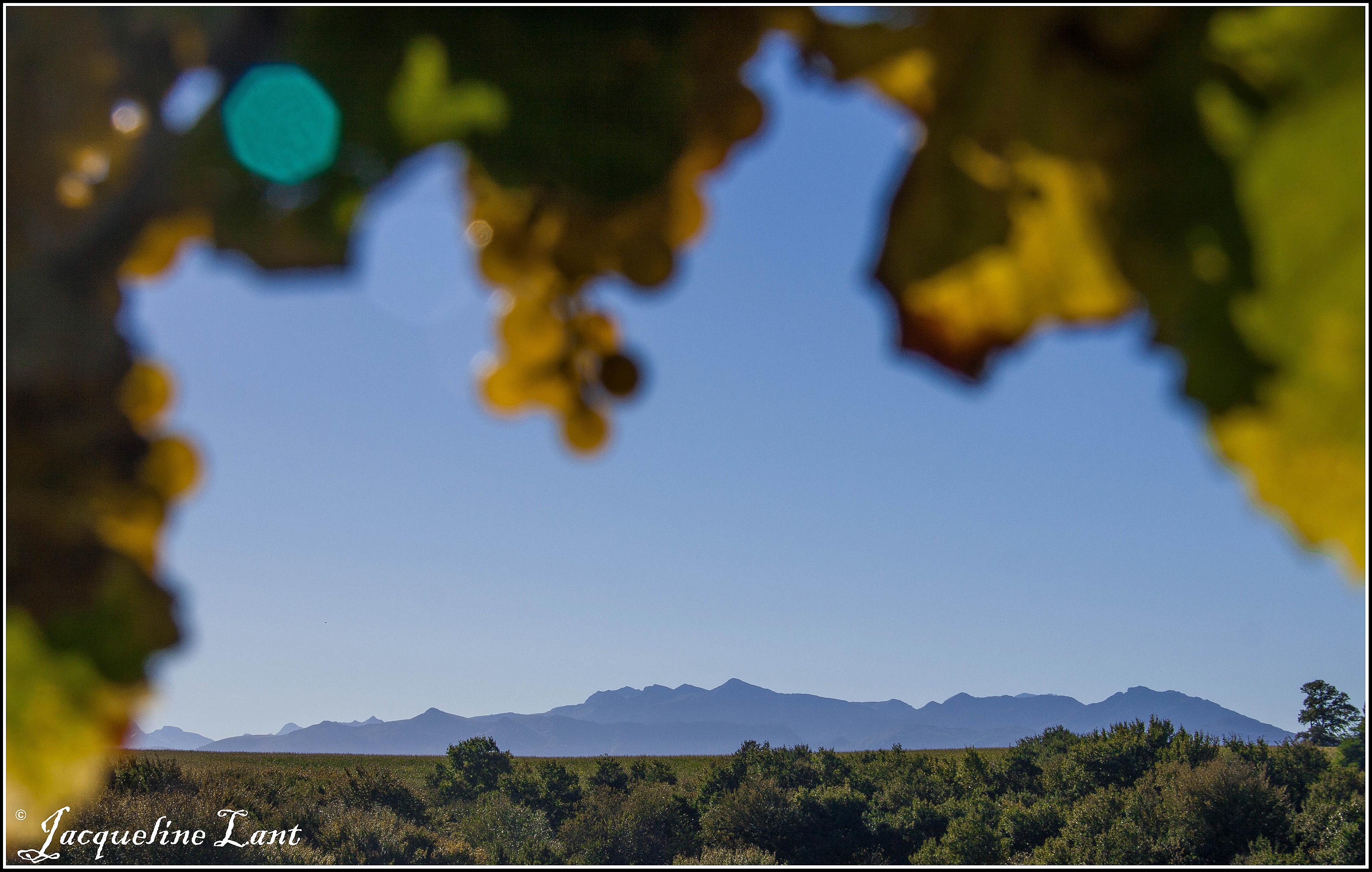 Domaine Montesquiou- Vue pyrénées