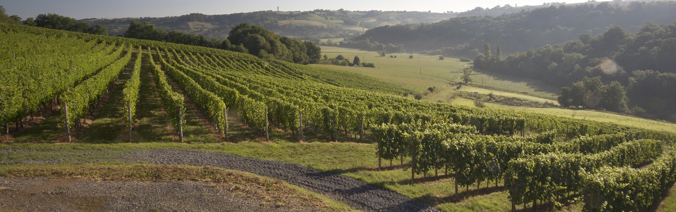 Domaine Montesquiou -Vin jurançon - Monein