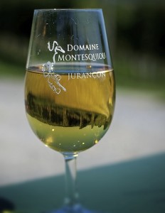 verre - Domaine Montesquiou - Monein